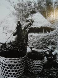 苗栗縣公館鄉挑炭，背景為木炭窯(1965年，台灣客家文化中心提供)
